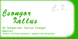 csongor kallus business card